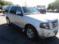 2010 Ingot Silver Metallic Ford Expedition Limited 4x4  photo #2