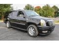 Black Raven - Escalade ESV AWD Photo No. 8
