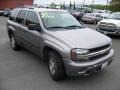 Graystone Metallic - TrailBlazer LS 4x4 Photo No. 7