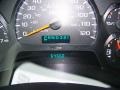 Graystone Metallic - TrailBlazer LS 4x4 Photo No. 13