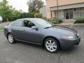 2004 Carbon Gray Pearl Acura TSX Sedan  photo #10