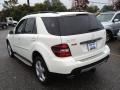 Arctic White - ML 350 4Matic Photo No. 5