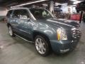 2010 Stealth Gray Cadillac Escalade Hybrid AWD  photo #4