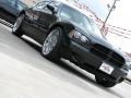 Brilliant Black Crystal Pearl - Charger  Photo No. 11