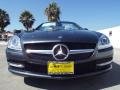 2014 Steel Grey Metallic Mercedes-Benz SLK 250 Roadster  photo #2