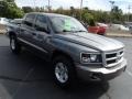 Mineral Gray Metallic - Dakota Big Horn Crew Cab 4x4 Photo No. 3