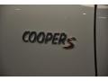Light White - Cooper S Countryman Photo No. 15