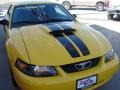 2004 Screaming Yellow Ford Mustang GT Coupe  photo #5