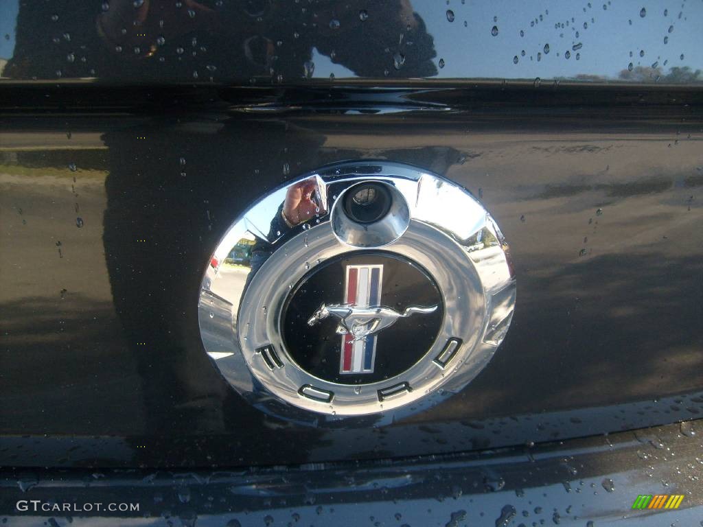 2008 Mustang V6 Premium Coupe - Alloy Metallic / Light Graphite photo #11