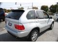 Titanium Silver Metallic - X5 3.0i Photo No. 6