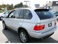 Titanium Silver Metallic - X5 3.0i Photo No. 10