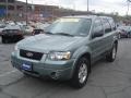 2006 Titanium Green Metallic Ford Escape Hybrid 4WD  photo #16