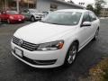 Candy White - Passat 2.5L SE Photo No. 3