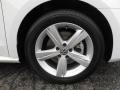 Candy White - Passat 2.5L SE Photo No. 8