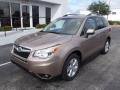 2014 Burnished Bronze Metallic Subaru Forester 2.5i Limited  photo #3