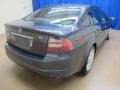 2007 Carbon Gray Pearl Acura TL 3.2  photo #9