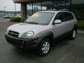 Smart Silver - Santa Fe GLS 4WD Photo No. 1