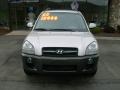 Smart Silver - Santa Fe GLS 4WD Photo No. 2