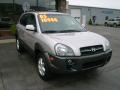 Smart Silver - Santa Fe GLS 4WD Photo No. 3