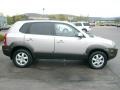 Smart Silver - Santa Fe GLS 4WD Photo No. 5