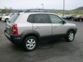 Smart Silver - Santa Fe GLS 4WD Photo No. 6