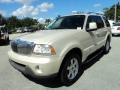 2005 Ivory Parchment Tri-Coat Lincoln Aviator Luxury AWD  photo #14
