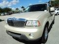 2005 Ivory Parchment Tri-Coat Lincoln Aviator Luxury AWD  photo #15
