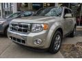 2012 Gold Leaf Metallic Ford Escape Limited  photo #1
