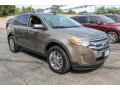 2013 Mineral Gray Metallic Ford Edge Limited AWD  photo #6
