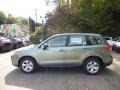 Jasmin Green Metallic 2014 Subaru Forester 2.5i