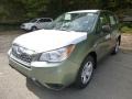 Jasmin Green Metallic - Forester 2.5i Photo No. 8