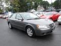 Willow Gray - Sonata GLS V6 Photo No. 2