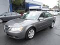 Willow Gray - Sonata GLS V6 Photo No. 3
