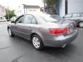 Willow Gray - Sonata GLS V6 Photo No. 5