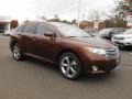 2010 Sunset Bronze Mica Toyota Venza V6 AWD  photo #3