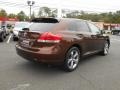 2010 Sunset Bronze Mica Toyota Venza V6 AWD  photo #4