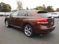 2010 Sunset Bronze Mica Toyota Venza V6 AWD  photo #6