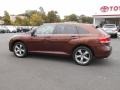 Sunset Bronze Mica - Venza V6 AWD Photo No. 7