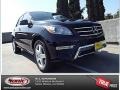 Black - ML 350 Photo No. 1
