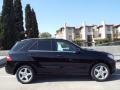 Black - ML 350 Photo No. 3