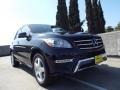 Black - ML 350 Photo No. 11