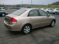 2007 Sand Beige Kia Spectra EX Sedan  photo #6