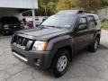 Night Armor Pearl - Xterra X 4x4 Photo No. 4