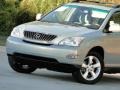 2008 Bamboo Pearl Lexus RX 350  photo #7