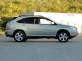 2008 Bamboo Pearl Lexus RX 350  photo #10