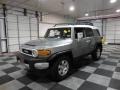 Titanium Metallic - FJ Cruiser  Photo No. 3