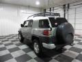 Titanium Metallic - FJ Cruiser  Photo No. 5