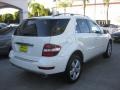Arctic White - ML 350 Photo No. 2