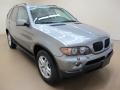 Sterling Grey Metallic 2005 BMW X5 3.0i