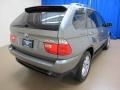 Sterling Grey Metallic - X5 3.0i Photo No. 9